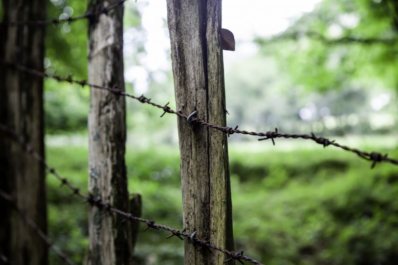 Deer Fencing Repair